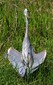 Not sure what this about. Looks like this Heron is auditioning for a Vegas musical.